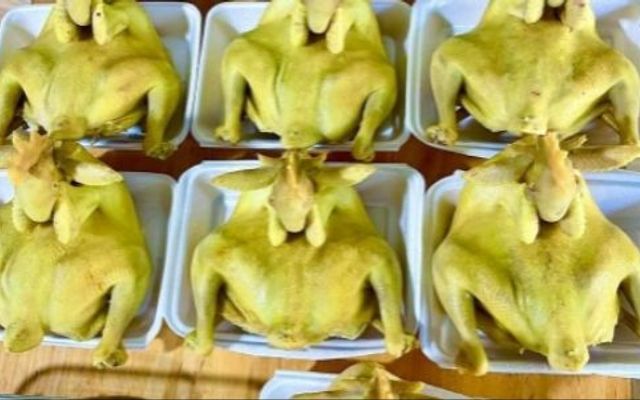 Gà Ta Tam Kỳ - Cơm Gà - Hồ Học Lãm