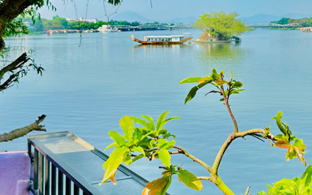 Tím Xưa Coffee - Nguyễn Sinh Cung