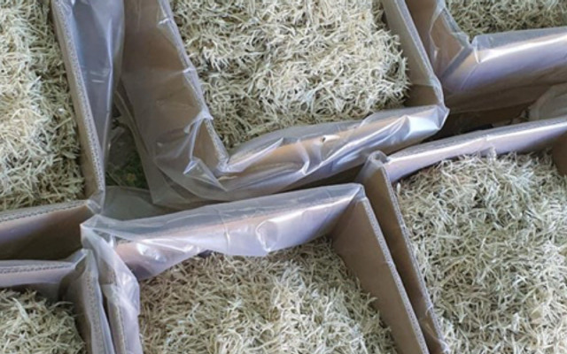 HẢI SẢN XỨ NGHỆ - Đường Số 102