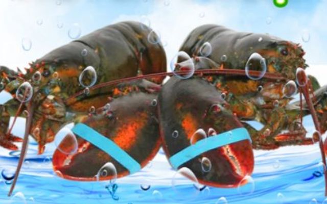 New Fresh Foods - Siêu Thị Thực Phẩm - 38 Chế Lan Viên