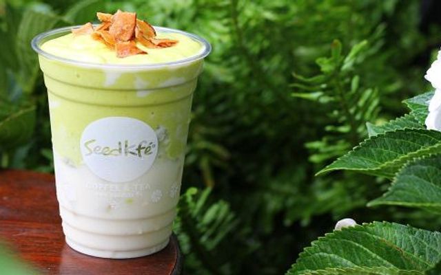 Seed Kfe - Hồ Thị Tư