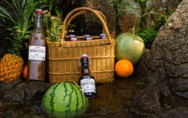 Trà Quán - Góc Nhà Tụi Mình - Kombucha Nhà Làm