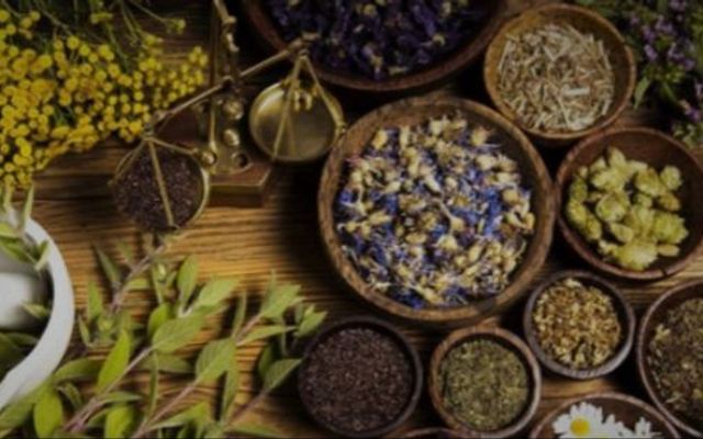 Tiệm Nước Sâm Thiên Ý - Nguyễn Chí Thanh