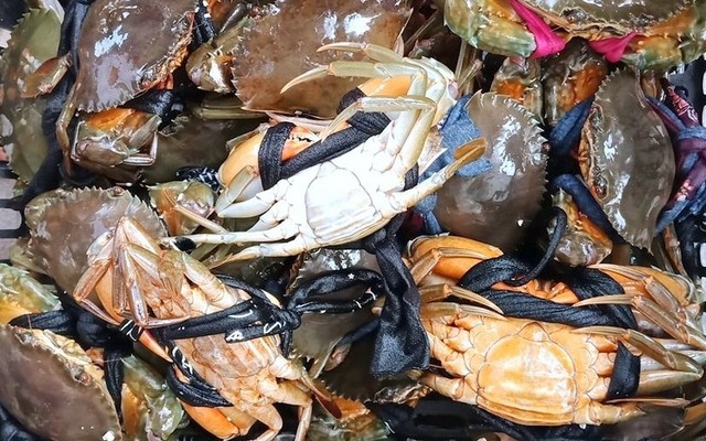 Ý Cua - Hai Bà Trưng