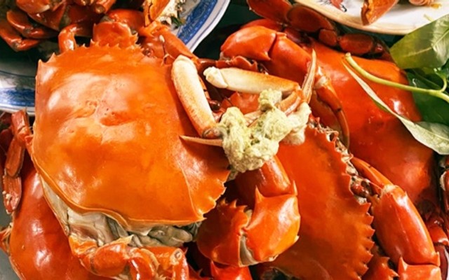 Yến Cua - Gỏi Cuốn Cua Biển Hạnh Yến