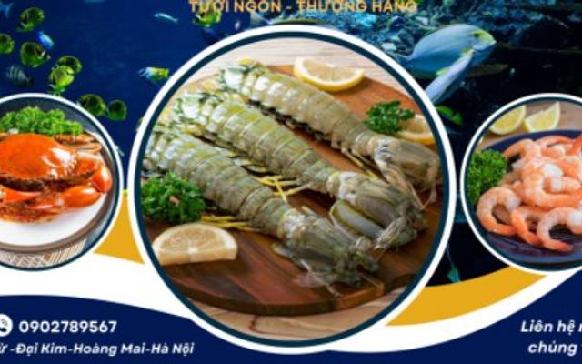 Hải Sản Sạch Chung Thúy - Đông Lạnh - Gần Chợ Đại Từ