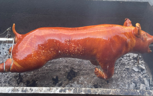 A Páoo Heo Mắc Khén - Cá Mắc Dổi & Thỏ Mắc Mật