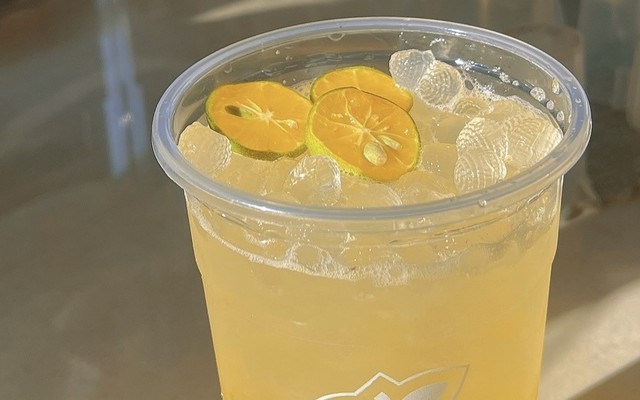 Xe Trà Ngọc - Bùi Văn Hòa