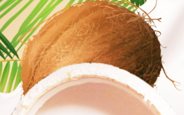 Rau Câu Dừa Mimi - Cách Mạng Tháng 8