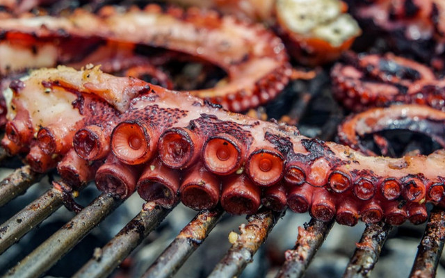 CHIM CÚT NƯỚNG & RÂU BẠCH TUỘC NƯỚNG THANH THÚY - Ăn Vặt - Lê Trọng Tấn