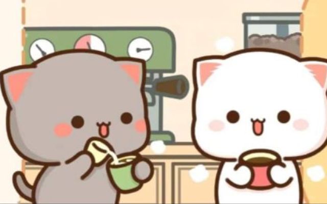 Mitaocat - Japanese Matcha & Cafe