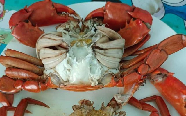 Hải Sản Tùng Phượng - Bình Chuẩn