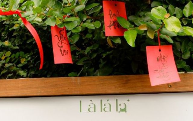 LÁ - Cà Phê Muối Đậm Đà - Phan Tứ