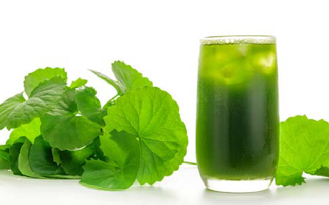 Tiệm Rau Má Limix