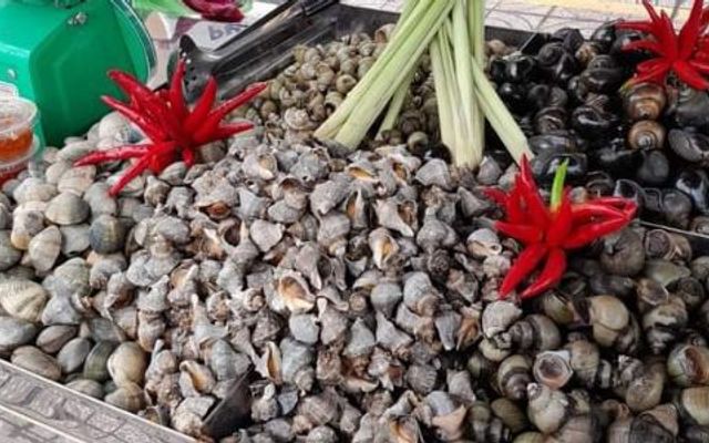 Ốc Bình - Lý Thường Kiệt