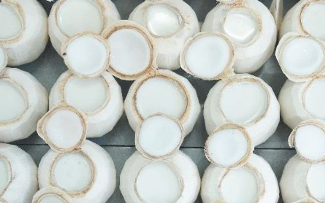 Rau Câu Dừa & Bánh Flan Kim Chi - Quang Trung