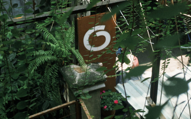 O Plant-Based - Tiệm Thuần Chay - Tôn Thất Đạm