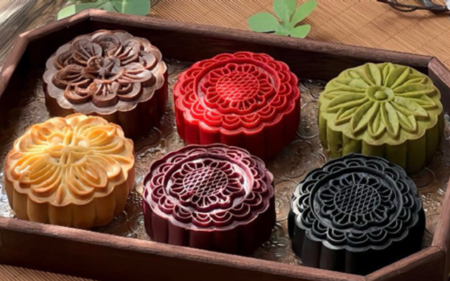 Helly Store - Thái Yummy