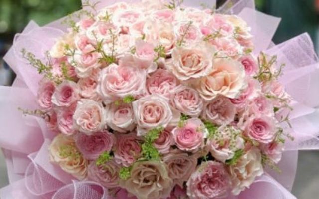 Thiên Đường Hoa Tươi - Nghĩa Tân