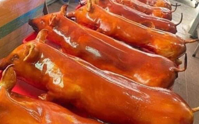 Cao Dũng- Đặc Sản Lợn Quay Lạng Sơn