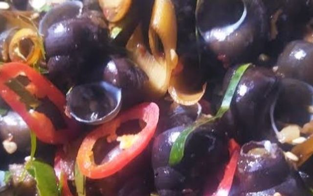 Ốc Hút Miền Trung - Phùng Khoang