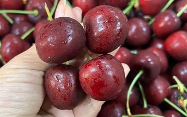 Tạp Hoá Bà Hạnh - Đặc Sản 3 Miền