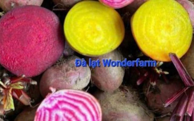 Dalat Wonder Farm  - Rau Củ Quả - Phan Tây Hồ 