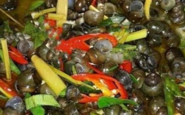 Ốc Hút Miền Trung Tuổi Thơ
