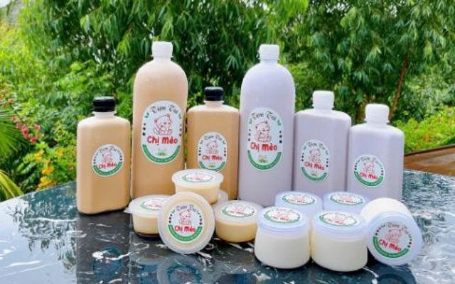 Tiệm Trà Chị Mèo - Online