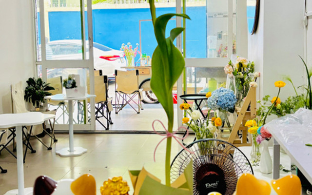 CINTHERRY TEA FLOWER - Set Hoa Trà - Bạch Đằng