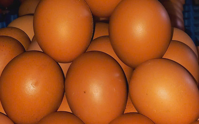 Cửa Hàng Thanh Thủy - Thực Phẩm Các Loại Và Hàng Thiết Yếu - Lê Văn Sỹ