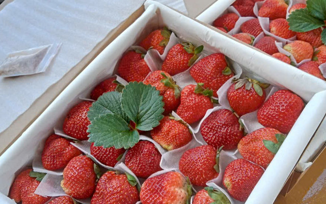 Cửa Hàng Duy Khang - Dâu Tây Sạch - Đà Lạt