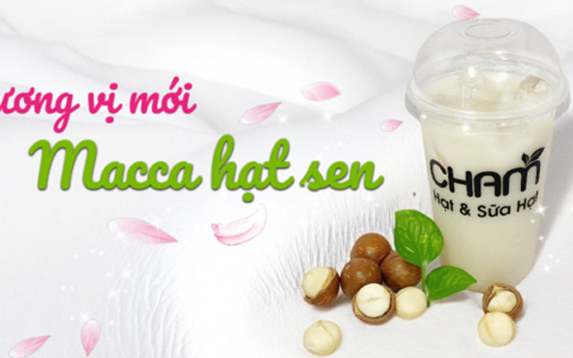 Cham - Hạt & Sữa Hạt - Trịnh Phong