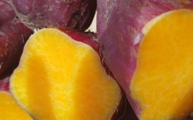 Khoai Hấp Gia Truyền Cúc Hà - Shop Online - Đường Số 8