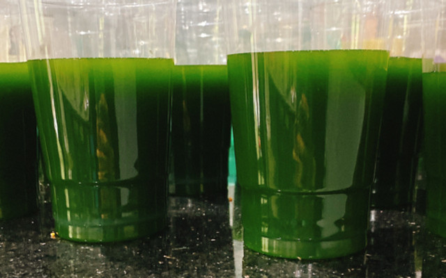 Bún Mắm Nêm & Bánh Tráng Trộn Trúc - Trần Khánh Dư