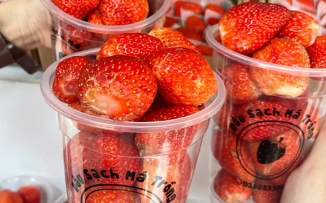 Dâu Sạch Má Trồng - Trà Dâu & Dâu Lắc - Trần Văn Kỷ