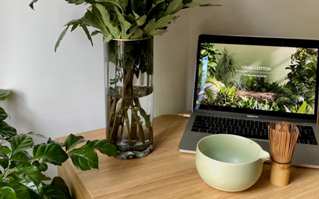 Maccia - Matcha Latte - Nguyễn Trung Trực