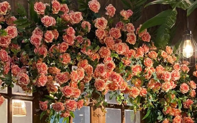 Tiệm Trà Của Nắng - Coffee & Trà Sữa