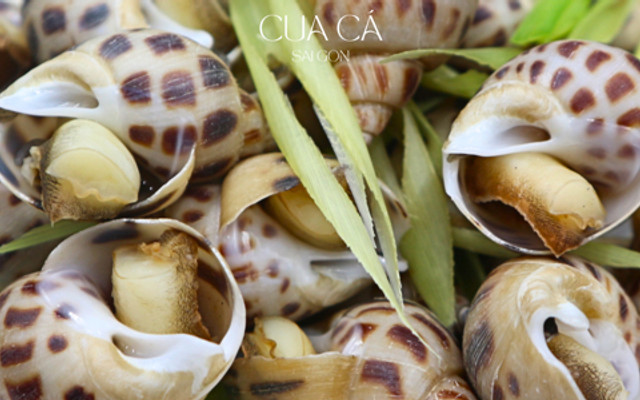 Cua Cá Sài Gòn - Ốc Hương & Cua Cà Mau - Đường Số 3