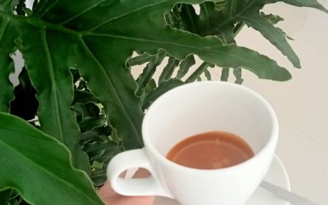 TOM Coffee, Sinh Tố & Nước Ép