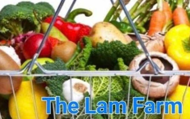 The Lam Farm CN2 - Rau Củ Quả - Nhiêu Tứ