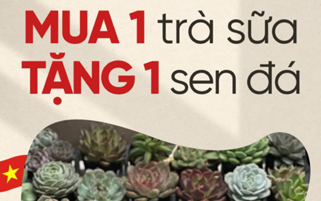 Tầm - Trà Sữa Kéo Thủ Công Đậm Vị - 164A Nguyễn Chí Thanh