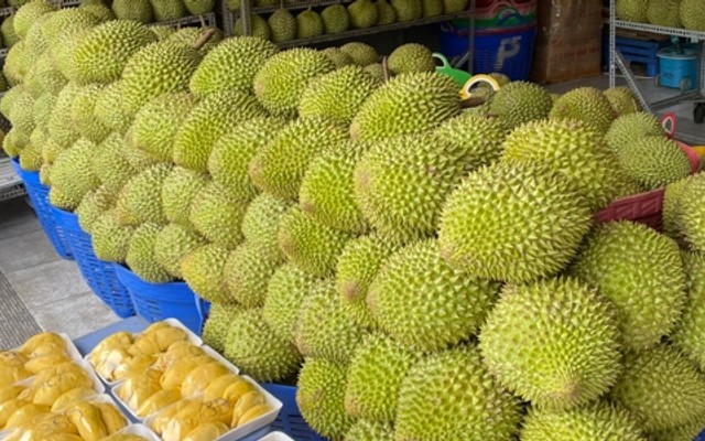 Hiếu - Sầu Riêng - Trường Chinh