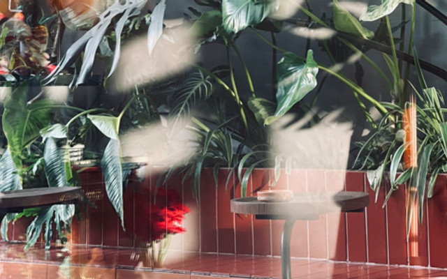 Nư Cape - Coffee & Matcha - 78/16A Ba Vân