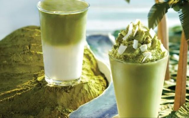 Maison Coffee - Matcha Latte, Ô Long Nhài Sữa & Trà Hoa Quả Nhiệt Đới