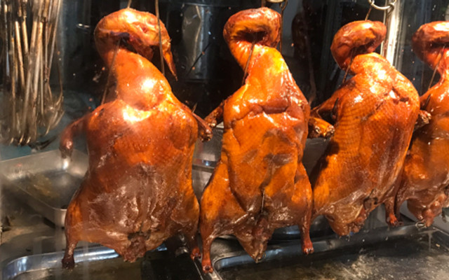 Vịt Quay TB - Vịt Quay Lạng Sơn