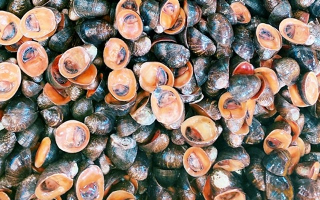 Ốc Dừa UyênUyênn Trương - Shop Online