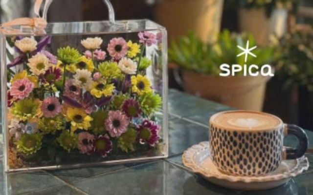 Spica Studio - Thảo Điền