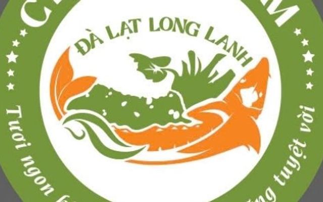 Chợ Cá Tầm Đà Lạt Long Lanh - Phạm Văn Đồng
