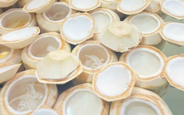 Dừa Bến Tre 190 - Dừa - Bạch Đằng